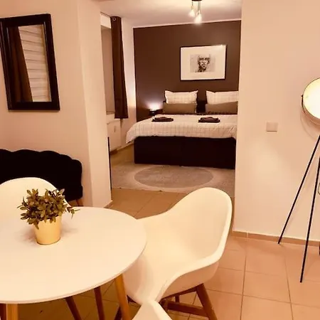 Loft With Gym - Kitchen / Wifi / Free Parking Apartment